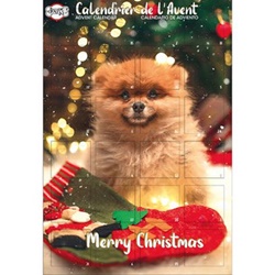 Doogy, Calendrier de l'avent pour chien : 168 gr