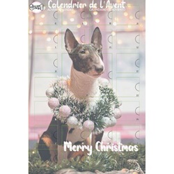 Doogy, Advent calendar for dogs: 238 gr