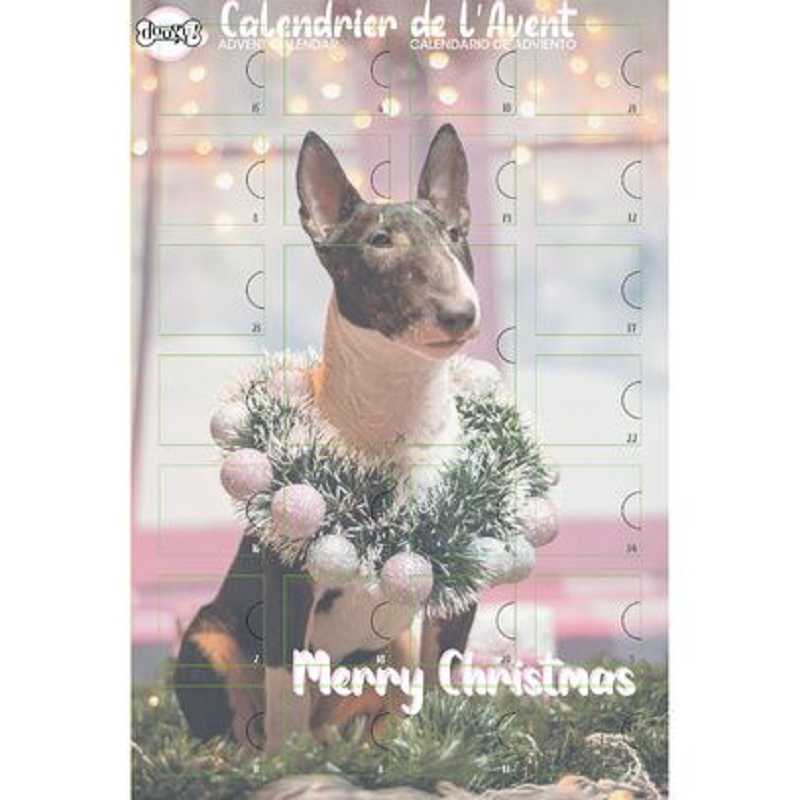Doogy, Calendrier de l'avent pour chien : 238 gr Doogy, Calendrier de l'avent pour chien : 238 gr