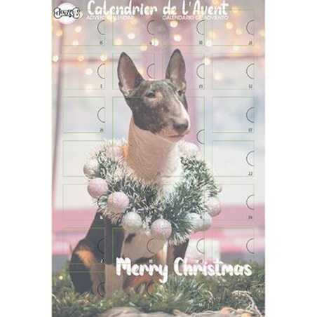 Doogy, Calendario dell'avvento per cani: 238 gr