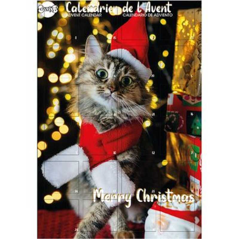 Doogy, Adventskalender für Katzen