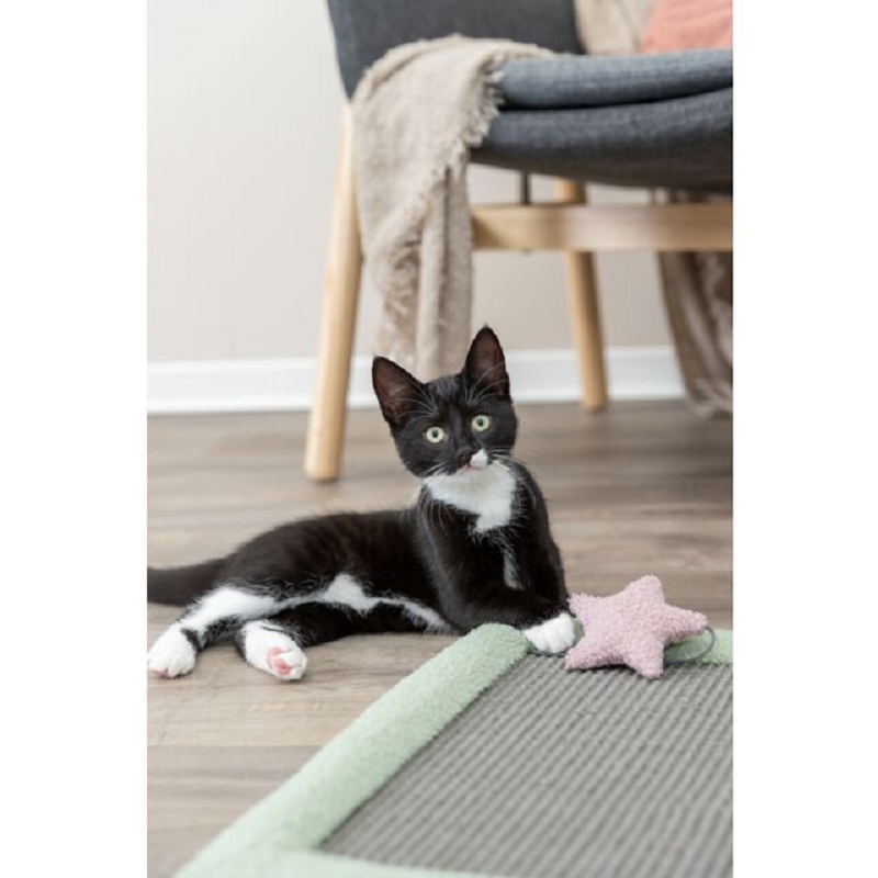 Trixie, Junior Tapis griffoir