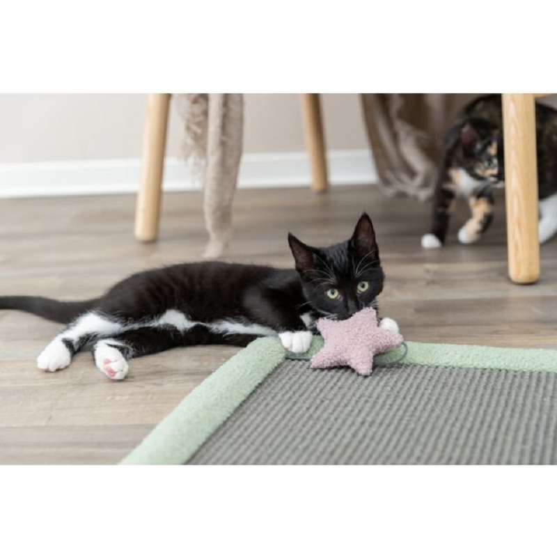 Trixie, Junior Scratching Mat