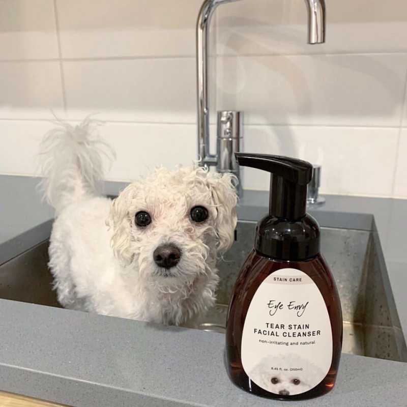 Eye Envy Foaming Tear Stain Remover Gesichtsshampoo