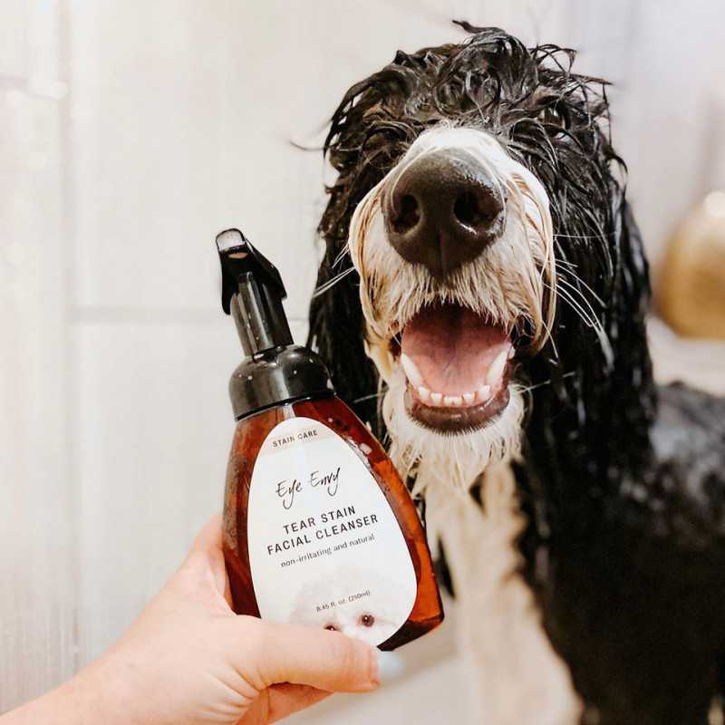 Eye Envy Foaming Tear Stain Remover Gesichtsshampoo
