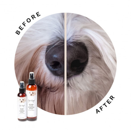 Spray quitamanchas de barba Eye Envy para gatos y perros: natural y eficaz