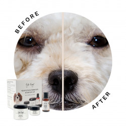 Eye Envy, kit di avviamento per cani con applicatore per il contorno occhi