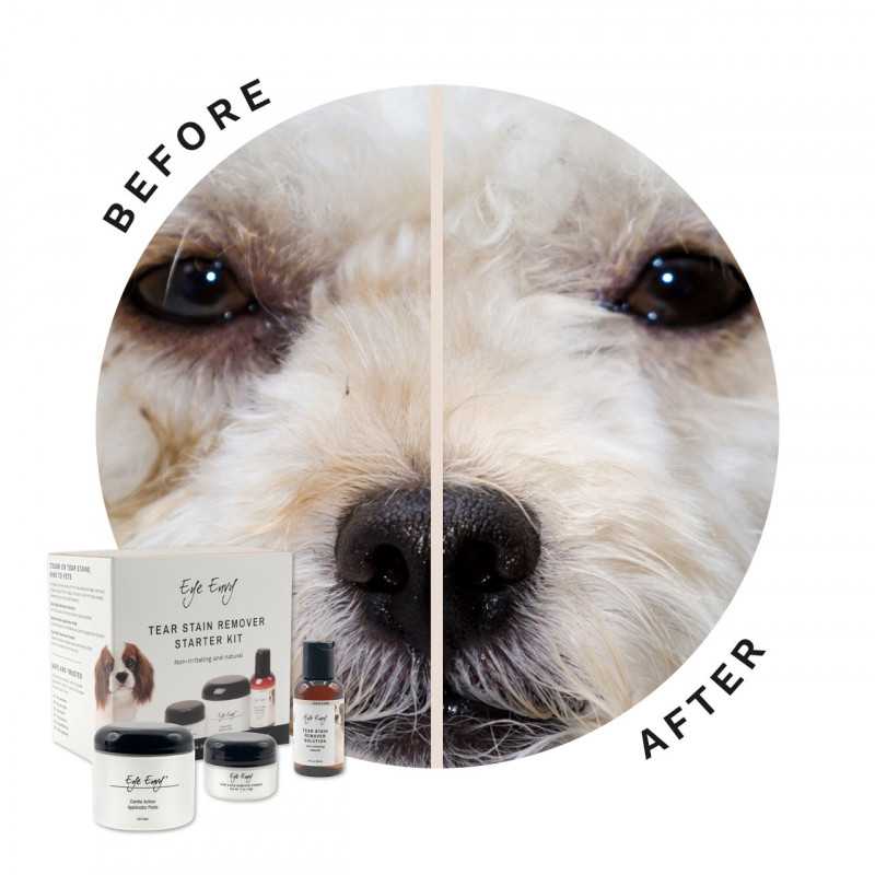 Eye Envy, kit di avviamento per cani con applicatore per il contorno occhi