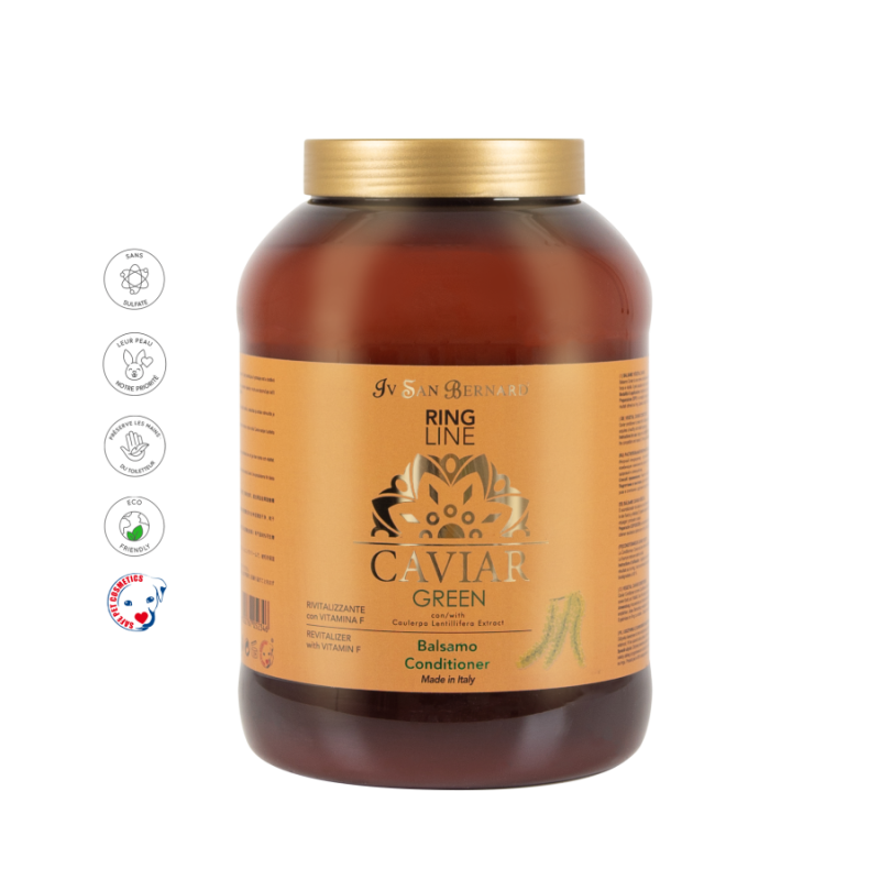 Iv San Bernard, Conditioner Caviar