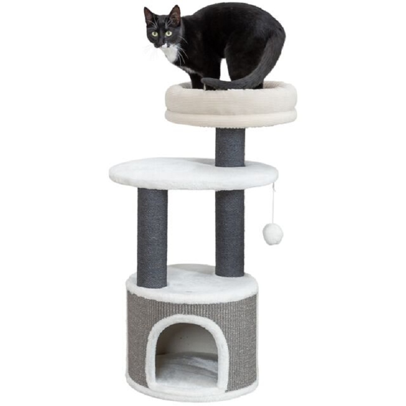 Trixie, árbol de gato marco