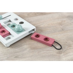 Trixie, Giochi di strategia Brain Mover