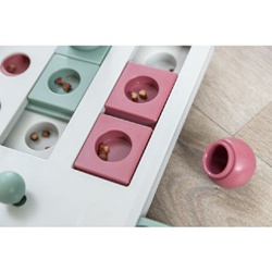 Trixie, Giochi di strategia Brain Mover