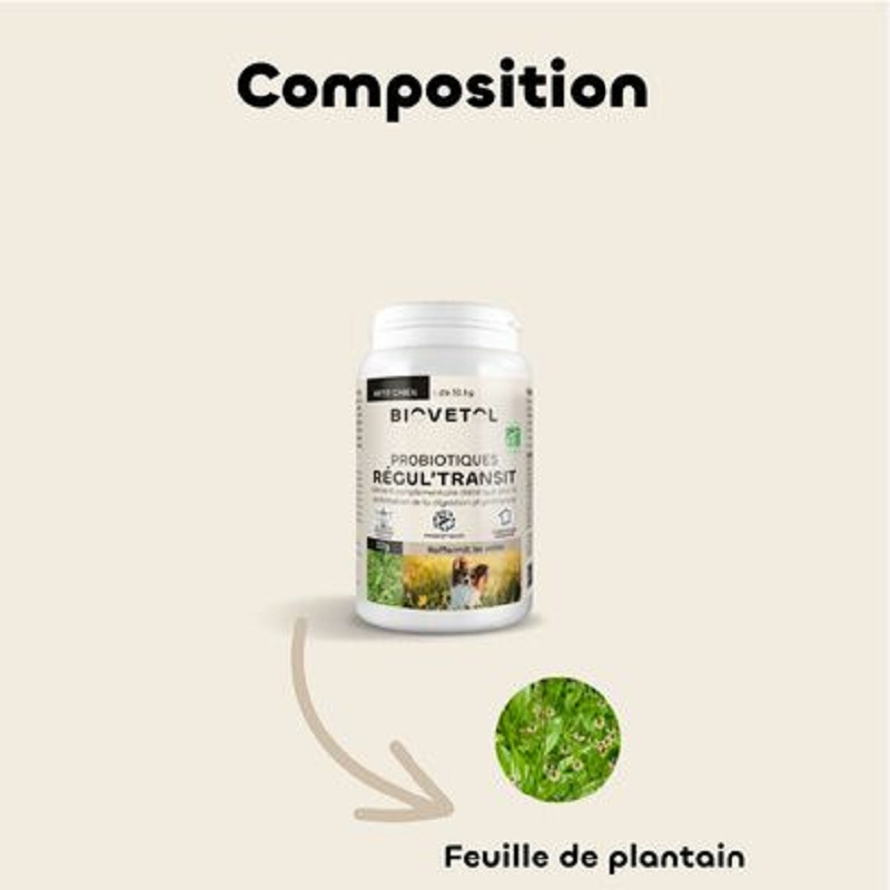 BIOVETOL, Probiotiques Regul'transit BIOVETOL