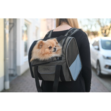 Vacation Dog Backpack