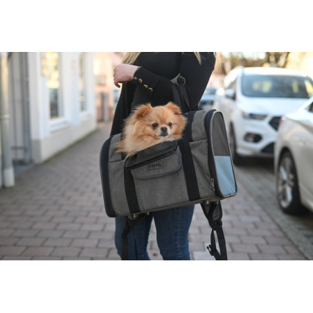 Vacation Dog Backpack