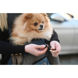 Front Vacation Carry Bag