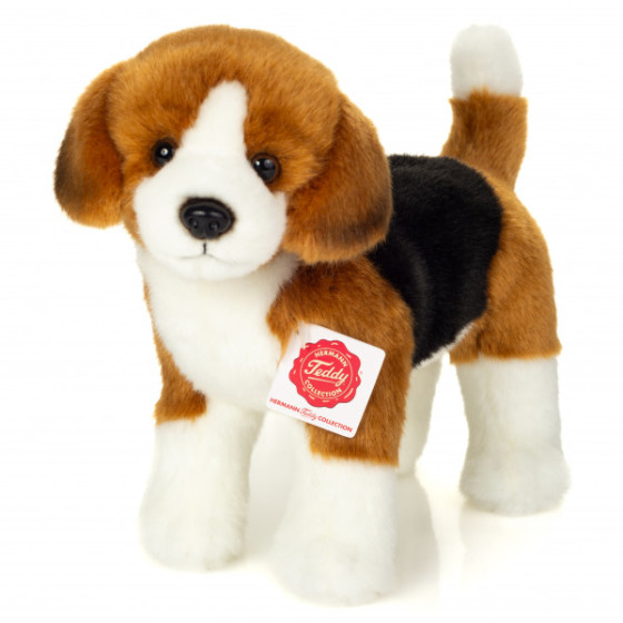 Hermann Teddy, peluche Beagle debout