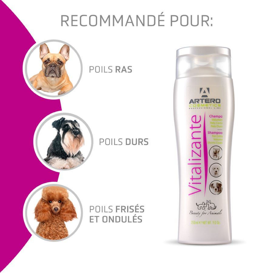 Artero, shampooing revitalisant