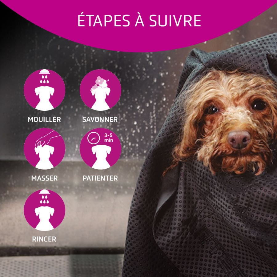 Artero, champú revitalizante