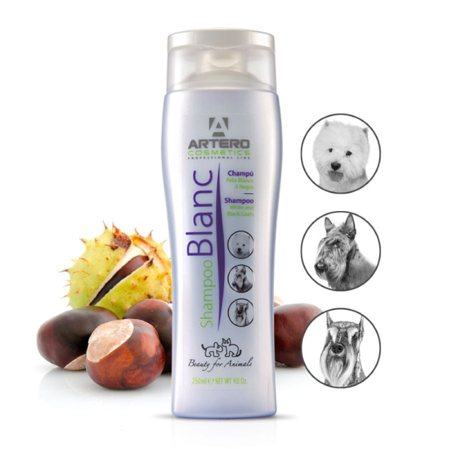 Champú blanqueador Artero