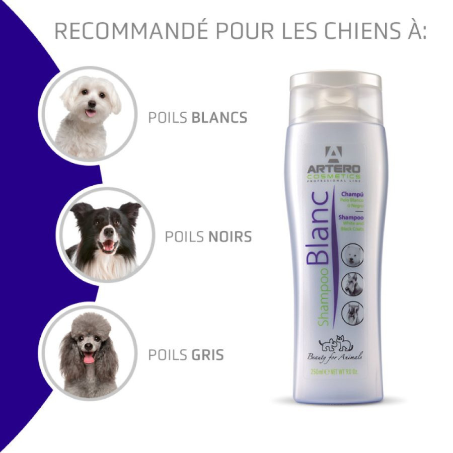 Artero, Shampooing Blancheur