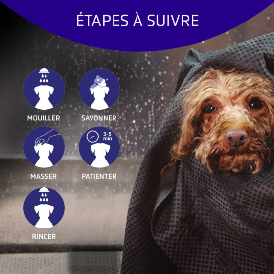 Champú blanqueador Artero