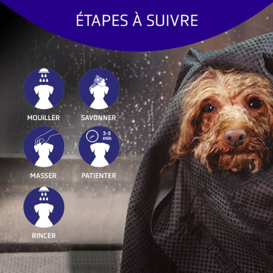 Champú blanqueador Artero