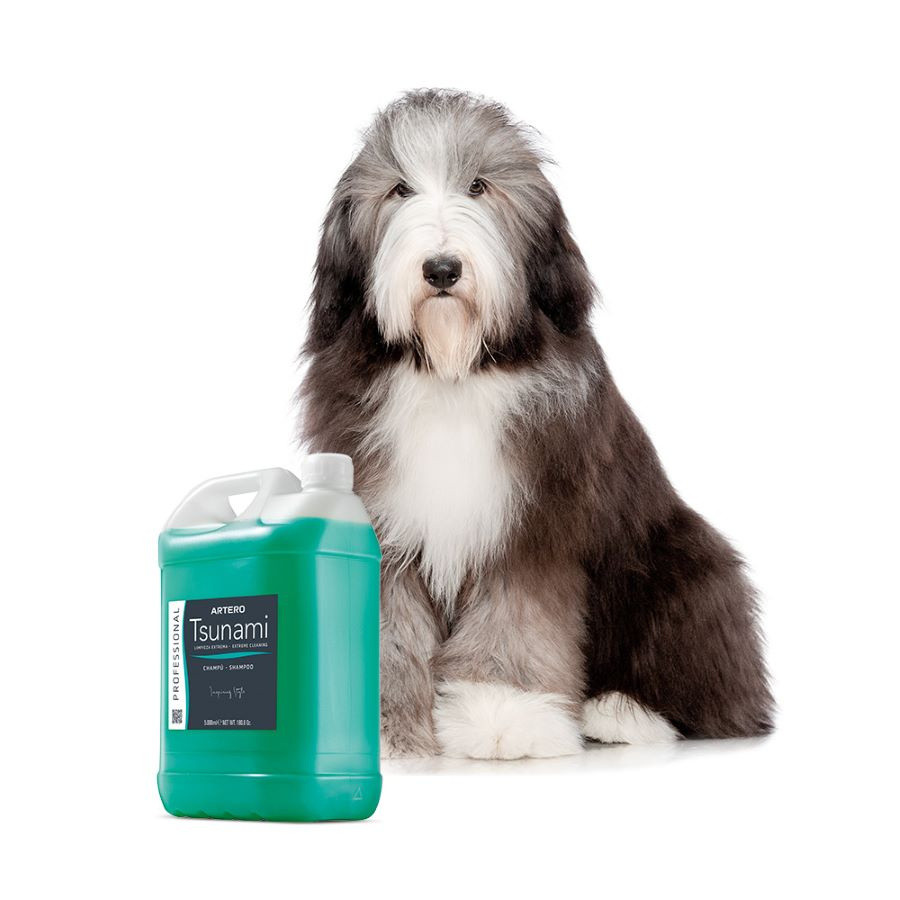 Artero, shampooing Tsunami 5 L