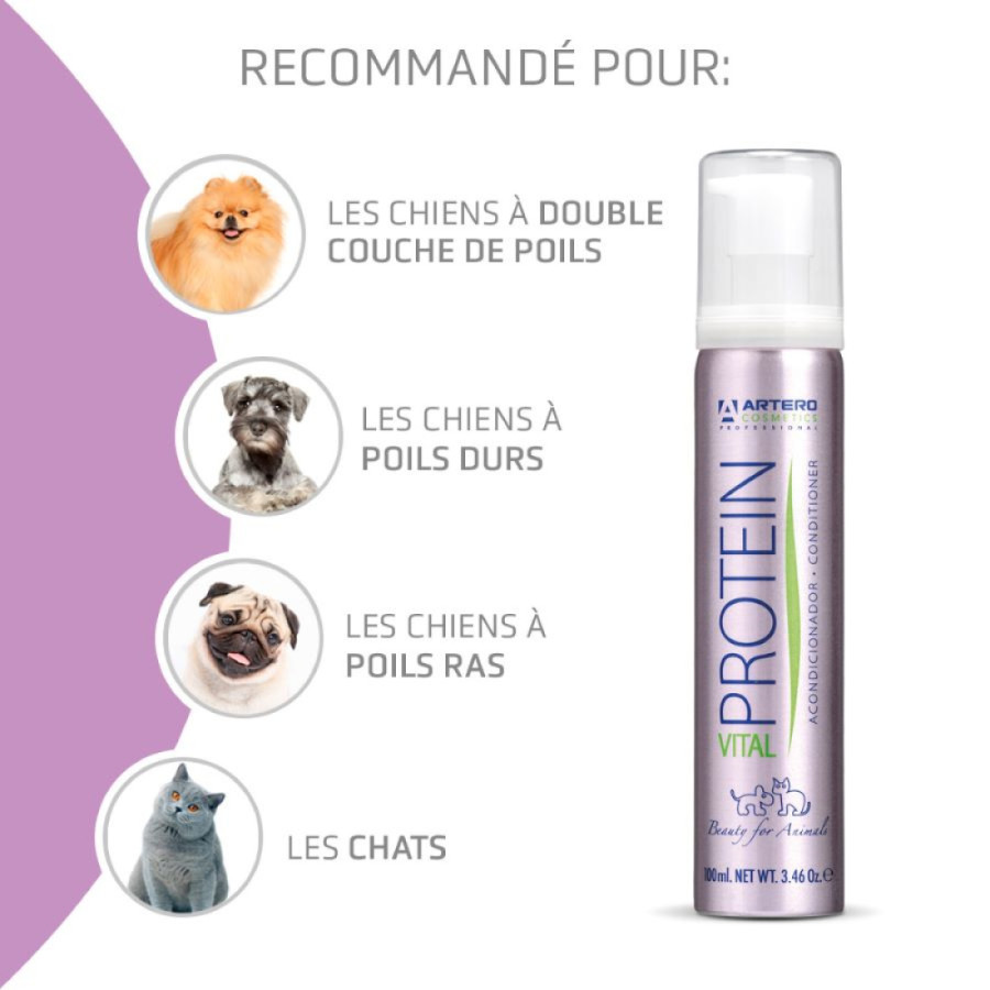 Artero, Acondicionador de Proteínas Vitales