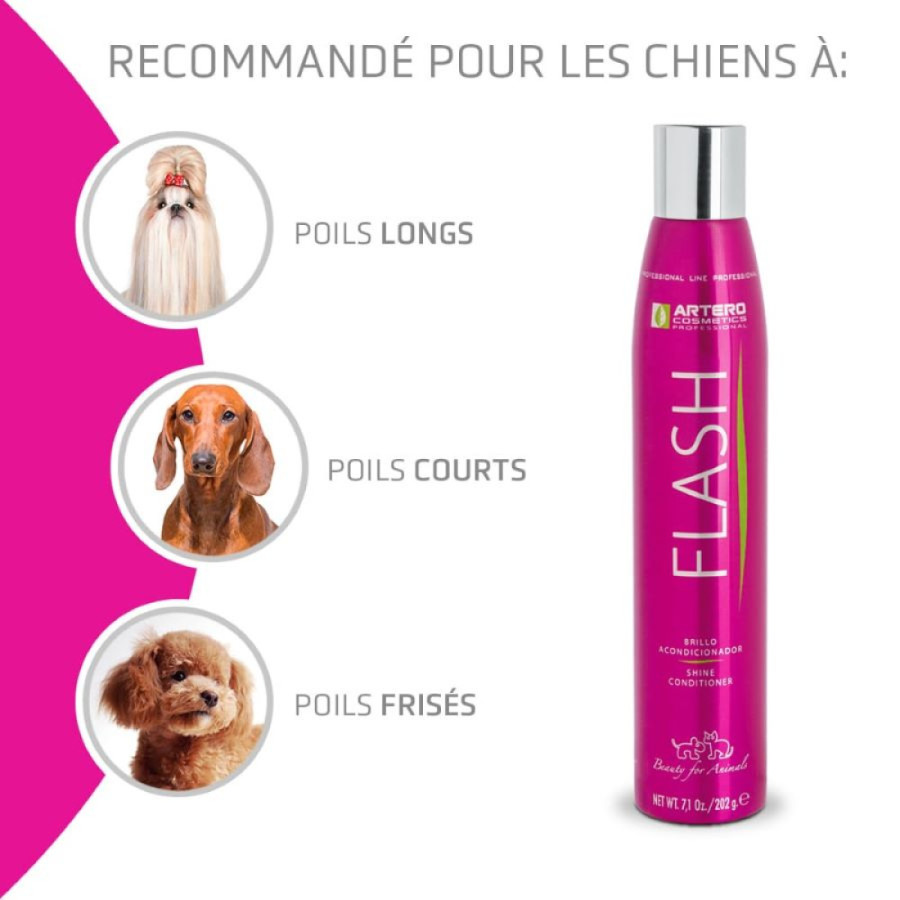 spray antistatique artero