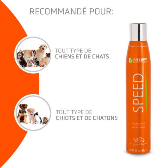Artero, champú seco SPEED