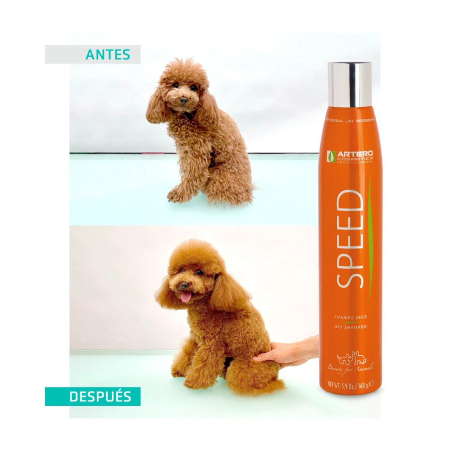 Artero, champú seco SPEED