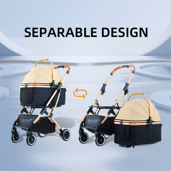 Poussette 2 en 1 détachable