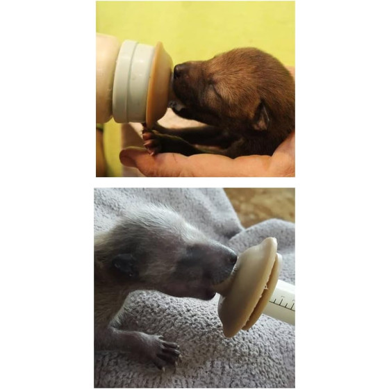 Tetinas Miracle Nipple, tetinas para cachorros y jeringas