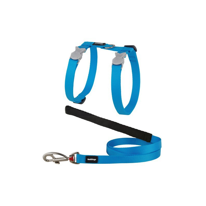 Ensemble harnais et laisse Red Dingo Chats Basic turquoise Ensemble harnais et laisse Red Dingo Chats Basic turquoise