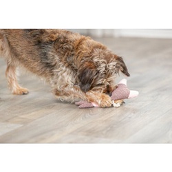 Trixie, Lapin