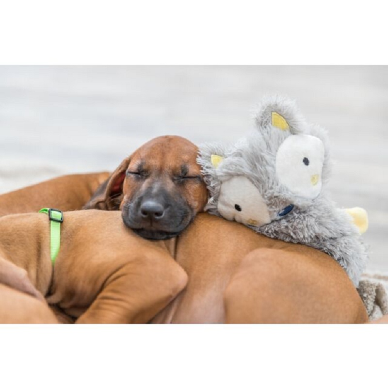 Trixie, Colgante de juguete para niños