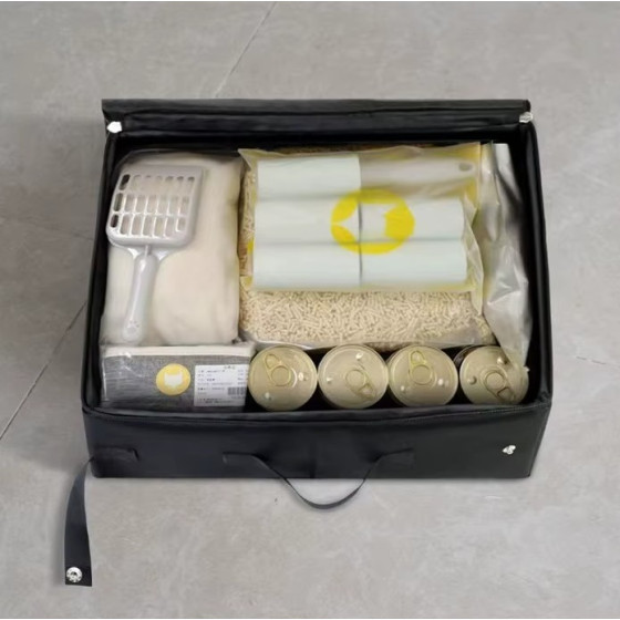 Foldable litter box with closure