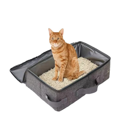 Foldable litter box with closure