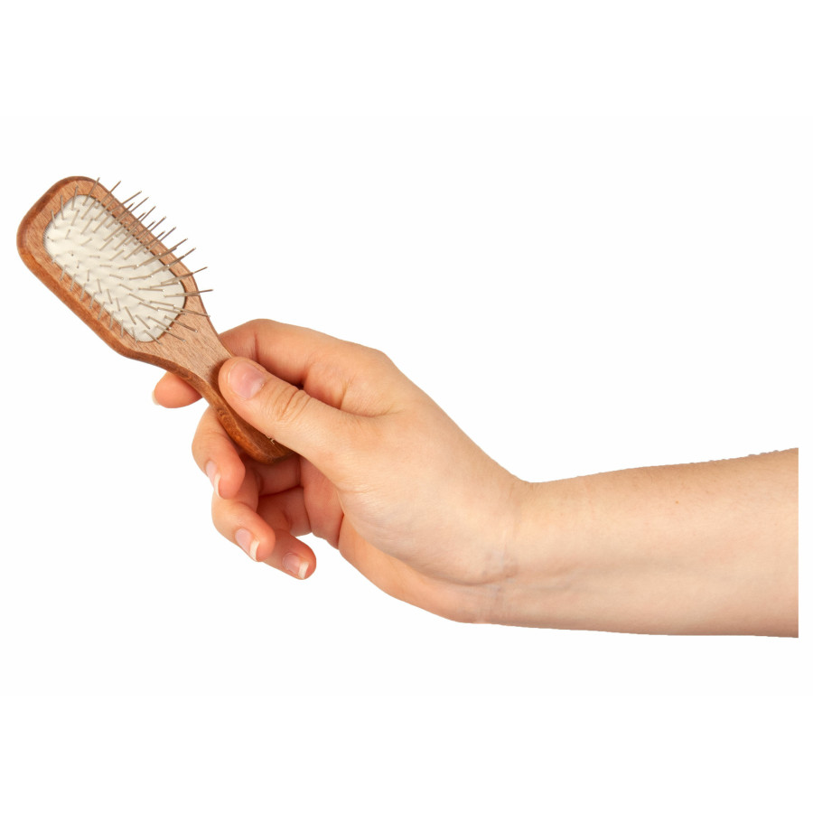 Show Tech, Brosse de poche pour Expo