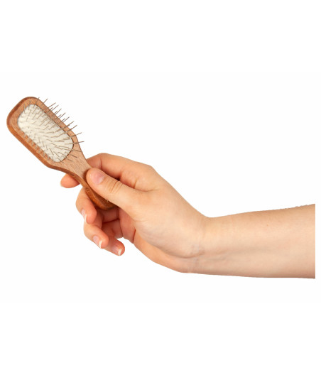 Show Tech, Brosse de poche pour Expo