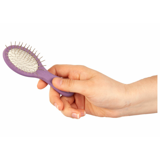 Show Tech, Brosse de poche pour Expo