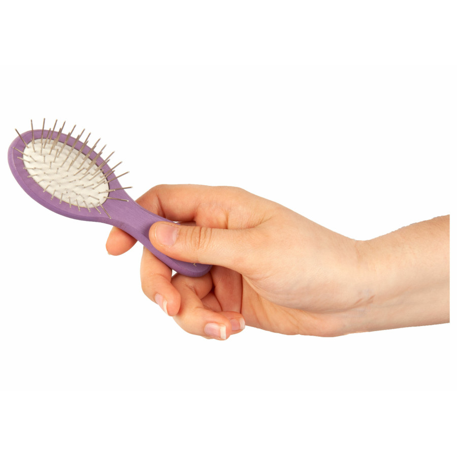 Show Tech, Brosse de poche pour Expo