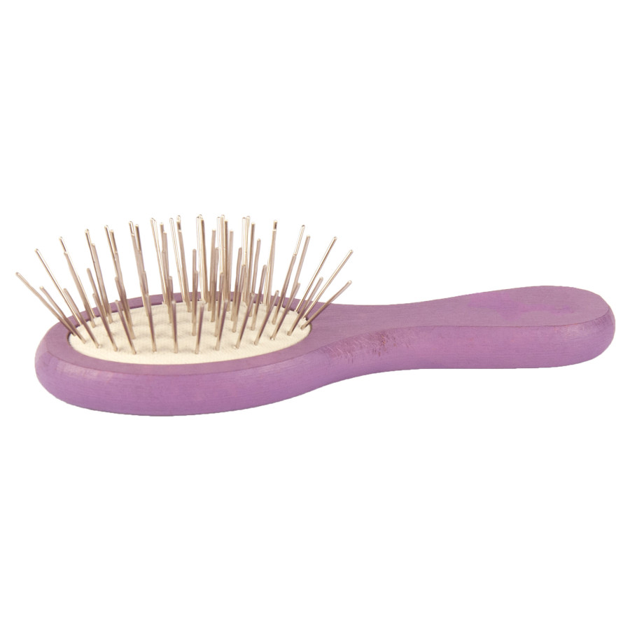 Show Tech, Brosse de poche pour Expo