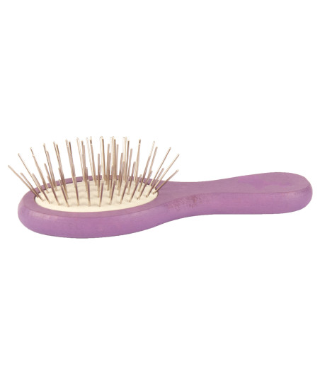 Show Tech, Brosse de poche pour Expo