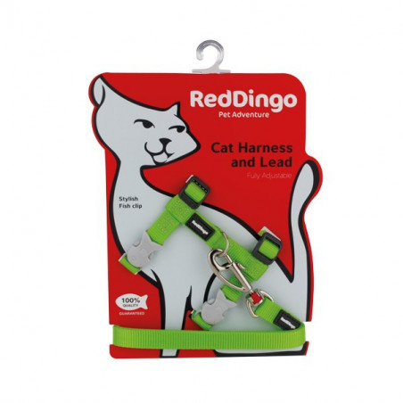 Ensemble harnais et laisse Red Dingo Chats Basic vert