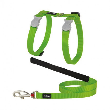 Set imbracatura e guinzaglio Red Dingo Cats Basic verde