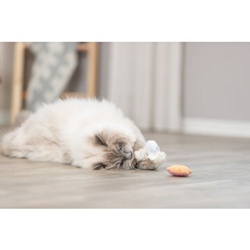 Trixie, Glace et cupcake