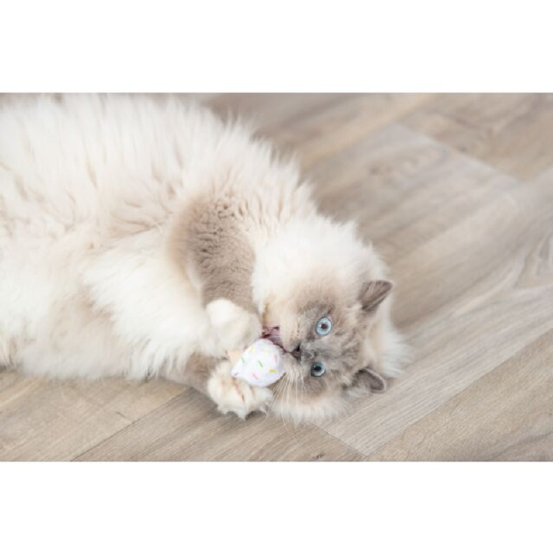 Trixie, Glace et cupcake