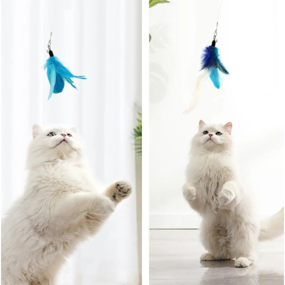 Canne à Pêche pour chat avec 6 embouts